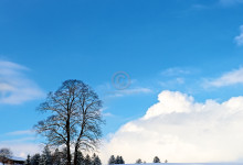 kleiner-blauer-himmel_10074351764_o